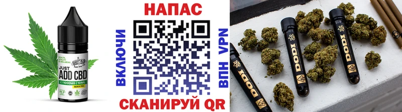 мега ССЫЛКА  Черкесск  Cannafood конопля 