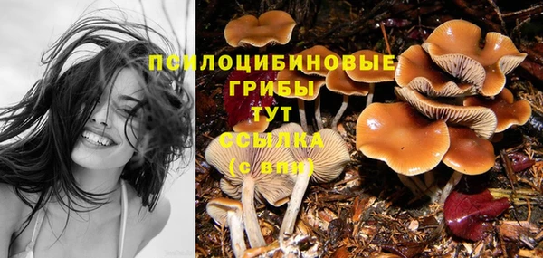 кокаин перу Горнозаводск