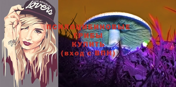 a pvp Горно-Алтайск