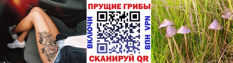 Галлюциногенные грибы мицелий Черкесск