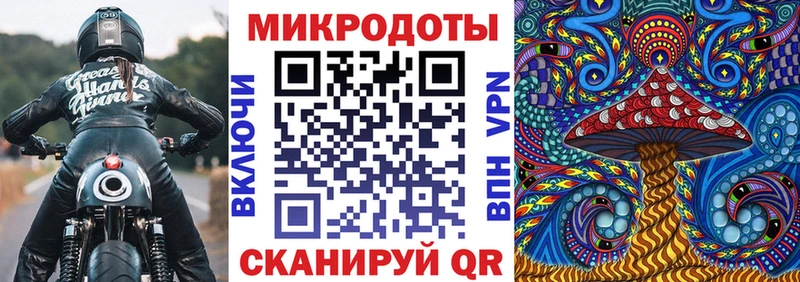 наркотики  Черкесск  Галлюциногенные грибы мицелий 